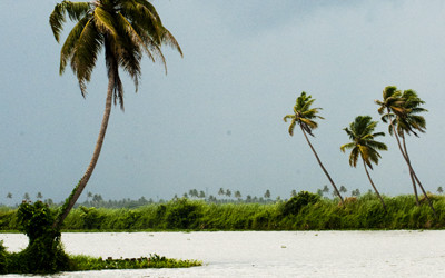 The Land of Spices & Palm Trees: Kerala