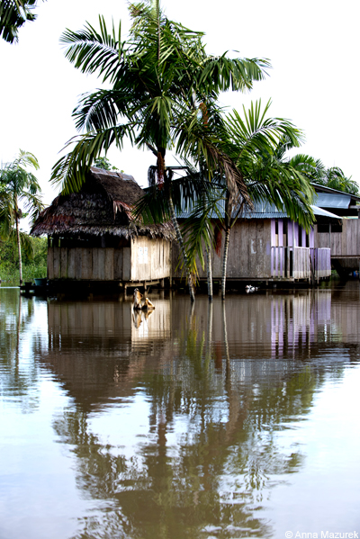 Amazon in Iquitos, Peru