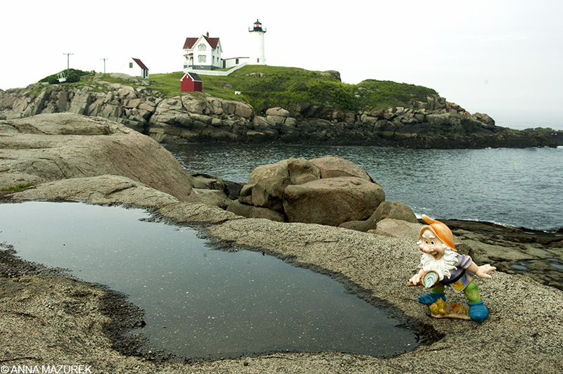 Harvey the Gnome in Maine