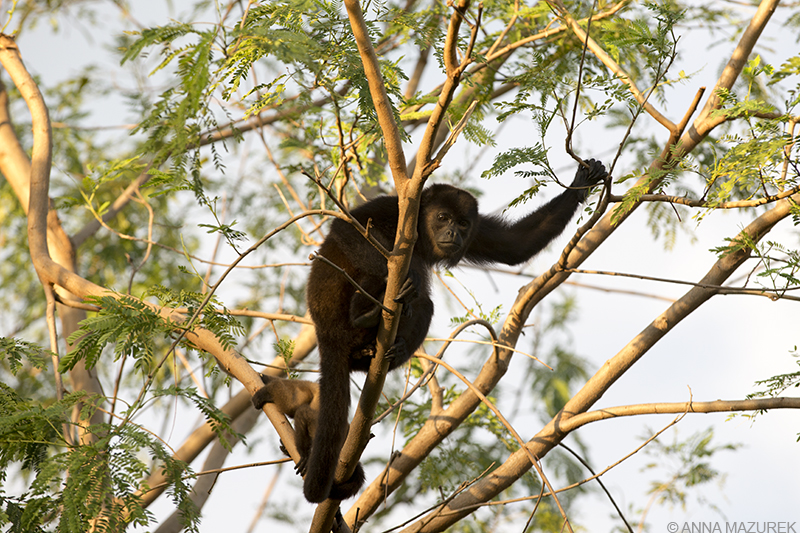 Nicaragua Top 5: Ometepe