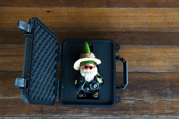 Alfred the Gnome's Travel case