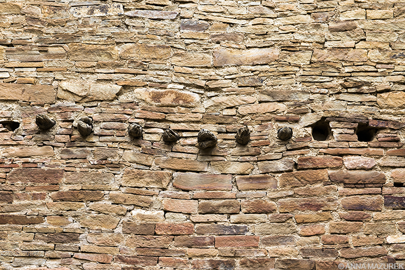 Chaco Canyon wood beams 