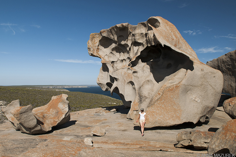 mazurek_kangaroo-island_web