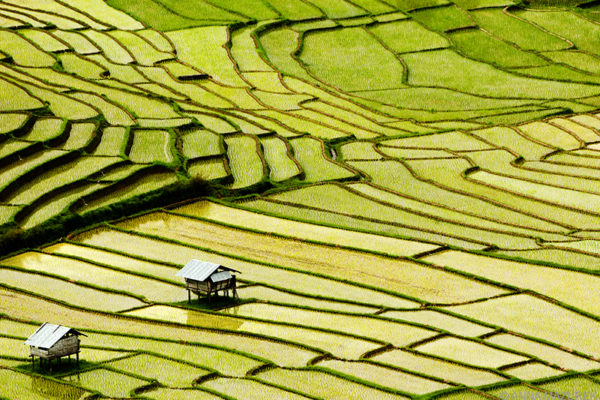 Bon Mai village, Thailand