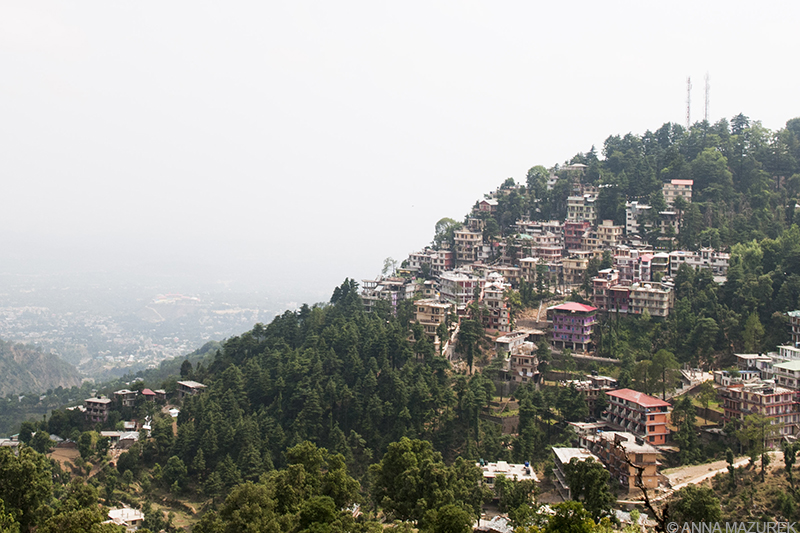 Mazurek_McLeod_Ganj02