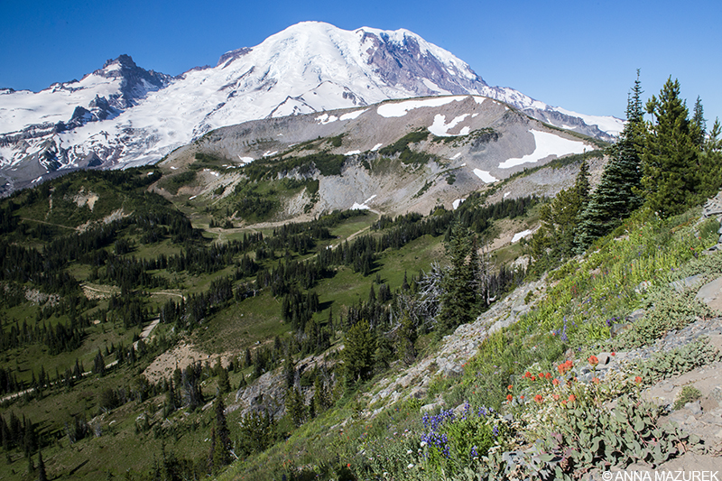 Mount Rainier, Washington State 