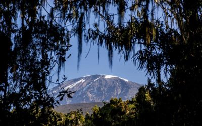 Kilimanjaro 101: Cost, Routes & Packing List