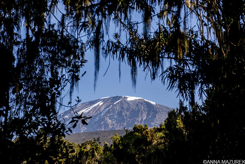 Kilimanjaro 101: Cost, Routes & Packing List