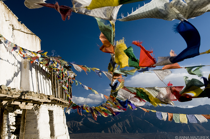 12 Places Not to Miss in India: Namgyal Tsemo Gompa monastery, Leh