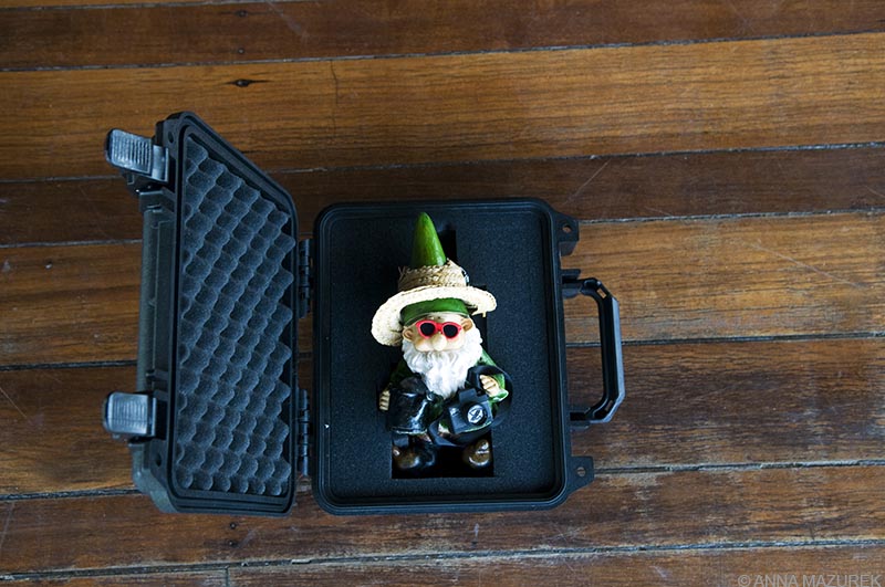 Traveling Gnome