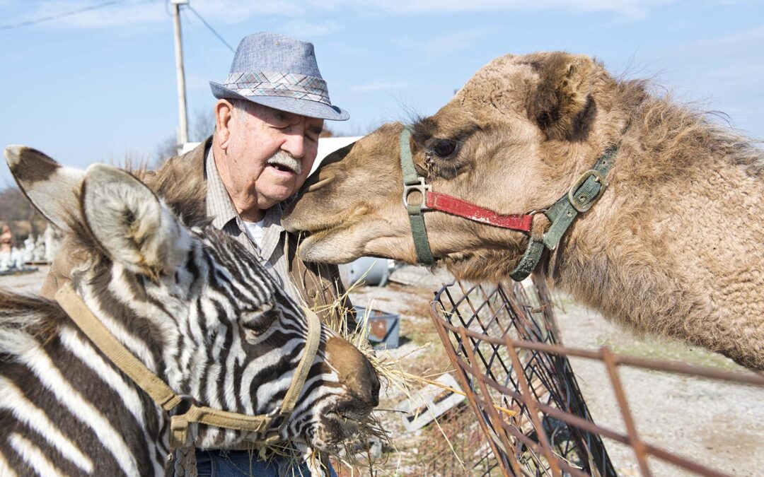 How a Road-Trip Pit Stop to Pet a Camel Led to an Unlikely Friendship