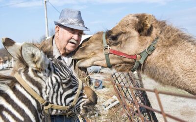 How a Road-Trip Pit Stop to Pet a Camel Led to an Unlikely Friendship