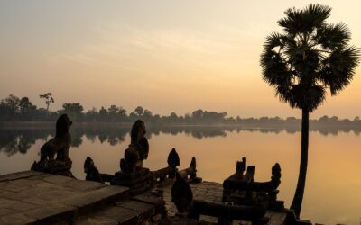 Truely eSIM Review 2026: Is It the Best Option for Southeast Asia?